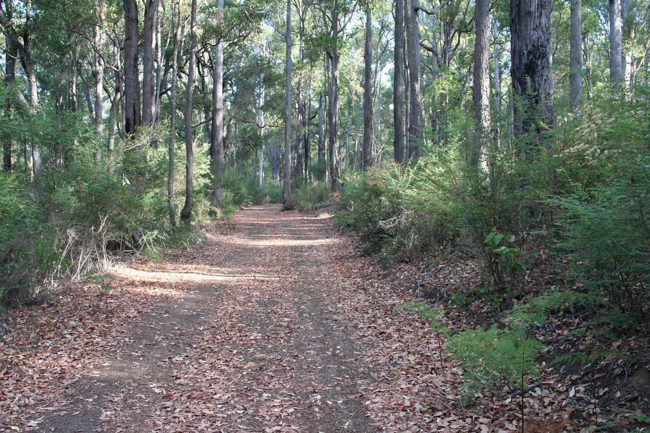 Wellington Forest Cottages Bagian luar foto