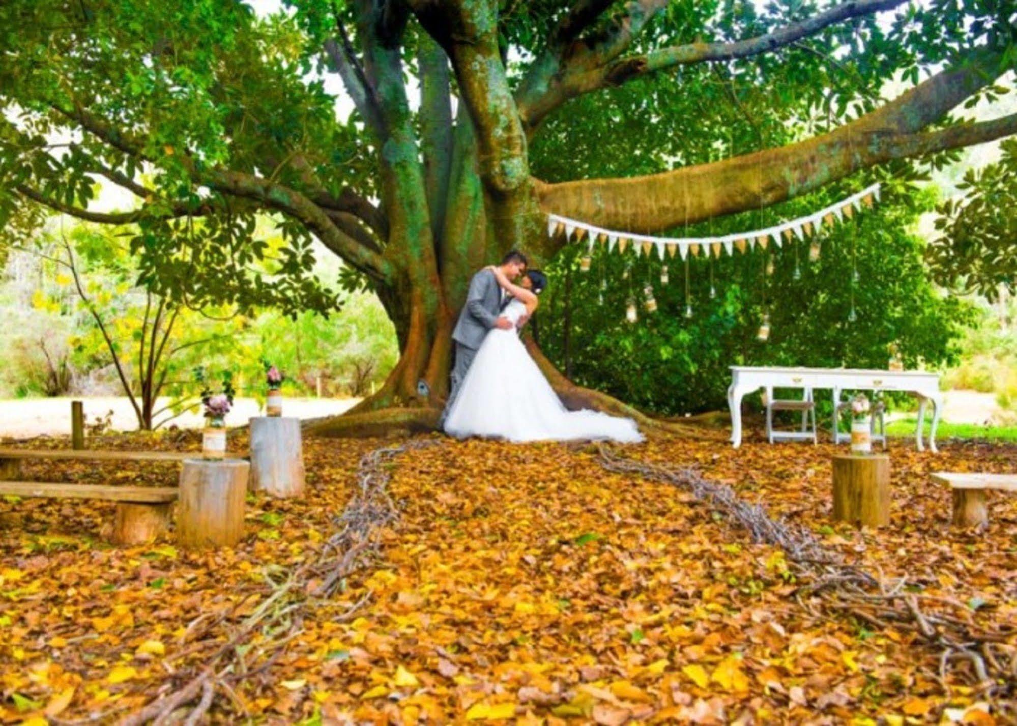 Wellington Forest Cottages Bagian luar foto