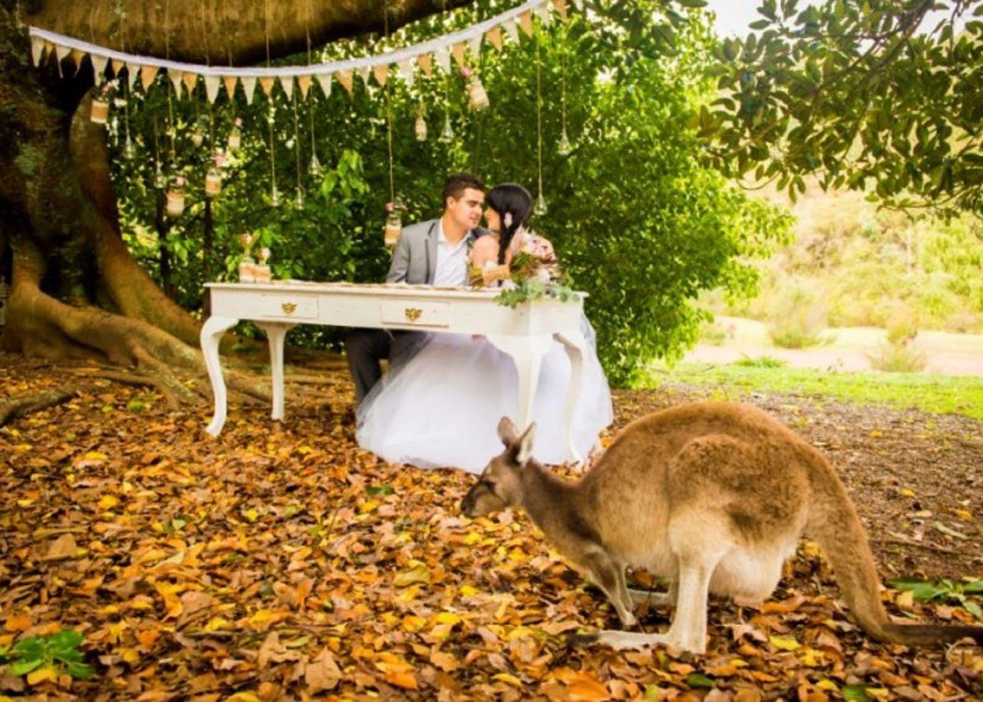 Wellington Forest Cottages Bagian luar foto