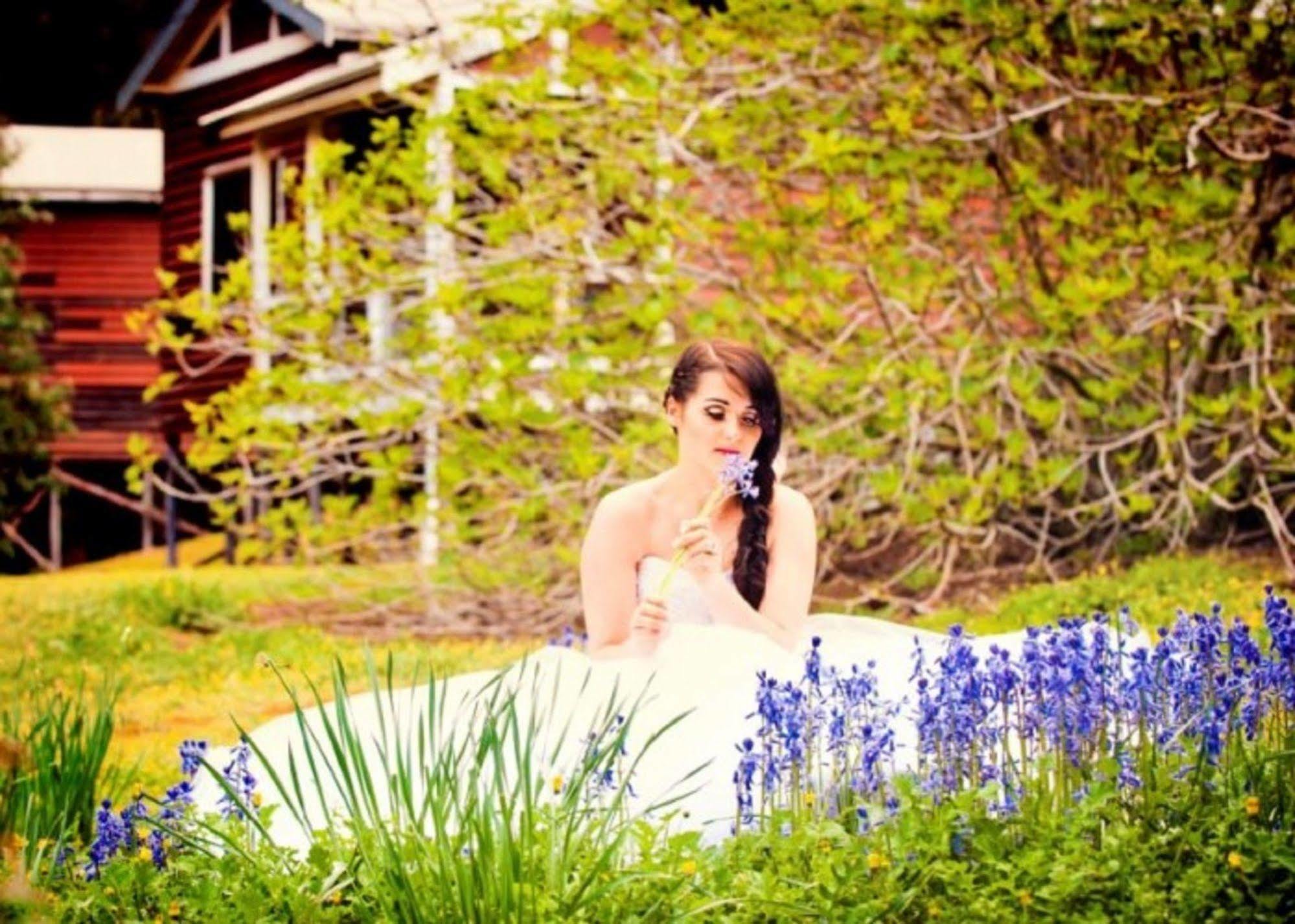 Wellington Forest Cottages Bagian luar foto